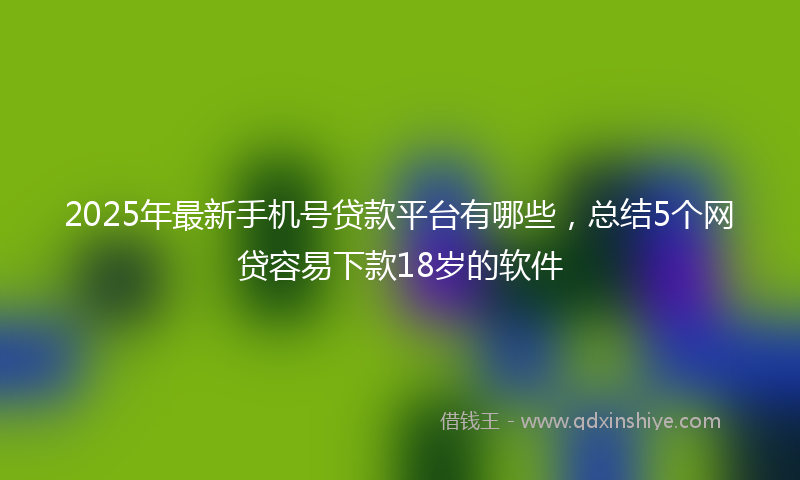 2025年最新手机号贷款平台有哪些，总结5个网贷容易下款18岁的软件