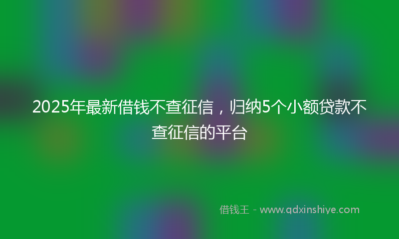 2025年最新借钱不查征信，归纳5个小额贷款不查征信的平台