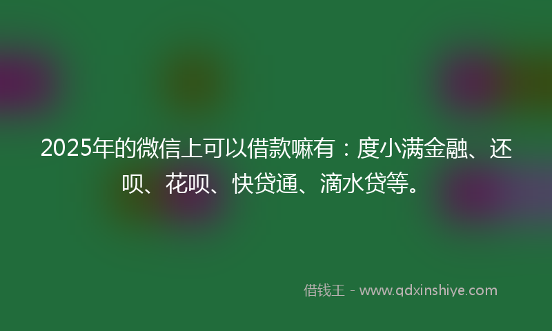 2025年的微信上可以借款嘛有：度小满金融、还呗、花呗、快贷通、滴水贷等。