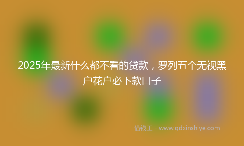 2025年最新什么都不看的贷款，罗列五个无视黑户花户必下款口子