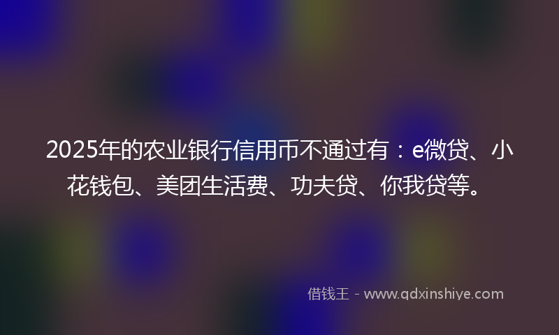 2025年的农业银行信用币不通过有：e微贷、小花钱包、美团生活费、功夫贷、你我贷等。