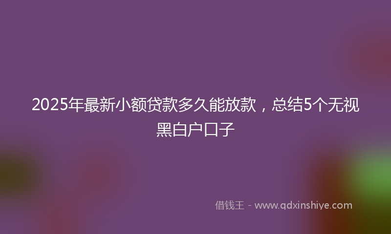 2025年最新小额贷款多久能放款，总结5个无视黑白户口子