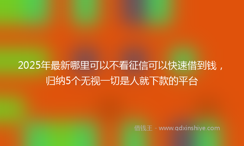 2025年最新哪里可以不看征信可以快速借到钱，归纳5个无视一切是人就下款的平台