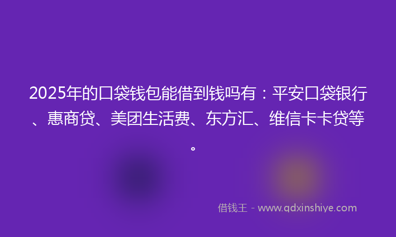 2025年的口袋钱包能借到钱吗有：平安口袋银行、惠商贷、美团生活费、东方汇、维信卡卡贷等。