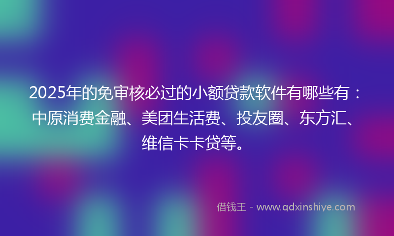 2025年的免审核必过的小额贷款软件有哪些有：中原消费金融、美团生活费、投友圈、东方汇、维信卡卡贷等。