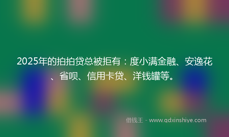 2025年的拍拍贷总被拒有：度小满金融、安逸花、省呗、信用卡贷、洋钱罐等。