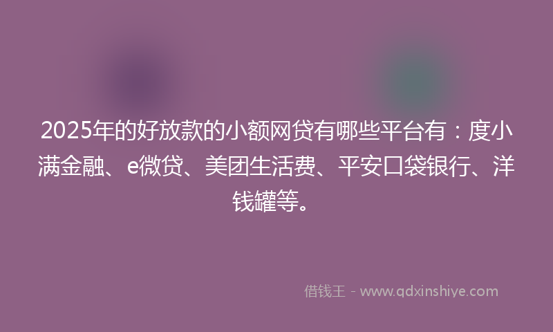 2025年的好放款的小额网贷有哪些平台有：度小满金融、e微贷、美团生活费、平安口袋银行、洋钱罐等。