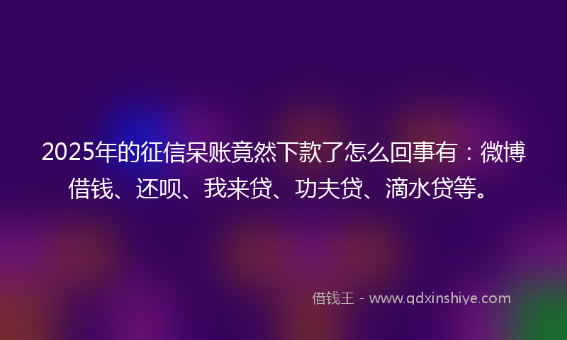 2025年的征信呆账竟然下款了怎么回事有：微博借钱、还呗、我来贷、功夫贷、滴水贷等。