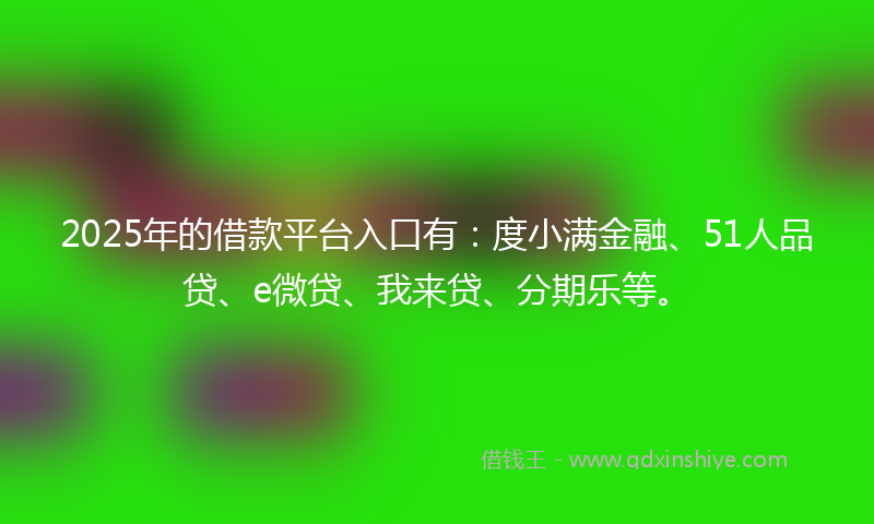 2025年的借款平台入口有：度小满金融、51人品贷、e微贷、我来贷、分期乐等。
