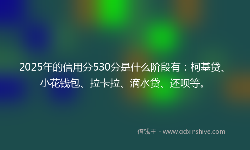 2025年的信用分530分是什么阶段有：柯基贷、小花钱包、拉卡拉、滴水贷、还呗等。