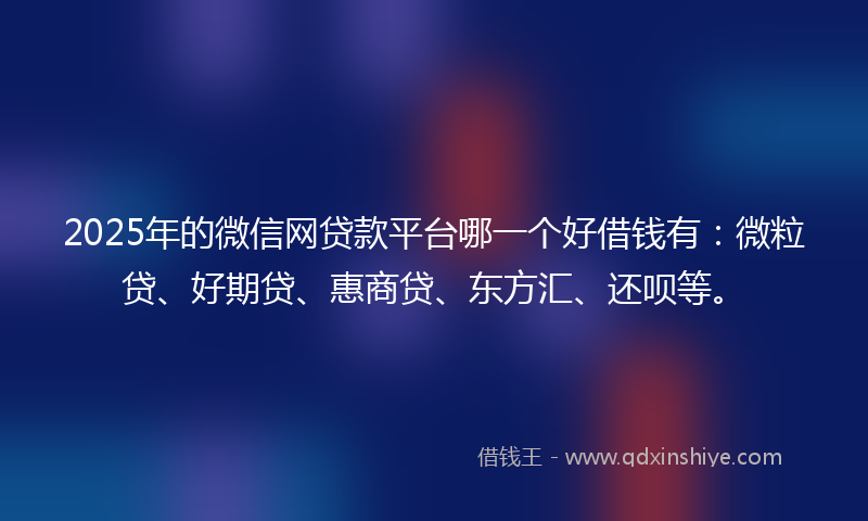 2025年的微信网贷款平台哪一个好借钱有：微粒贷、好期贷、惠商贷、东方汇、还呗等。