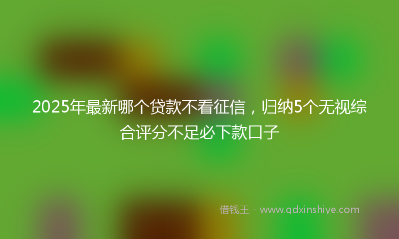 2025年最新哪个贷款不看征信，归纳5个无视综合评分不足必下款口子