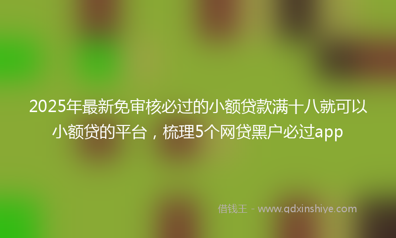 2025年最新免审核必过的小额贷款满十八就可以小额贷的平台，梳理5个网贷黑户必过app