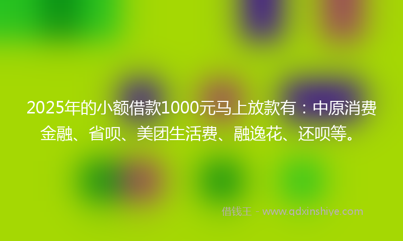 2025年的小额借款1000元马上放款有：中原消费金融、省呗、美团生活费、融逸花、还呗等。