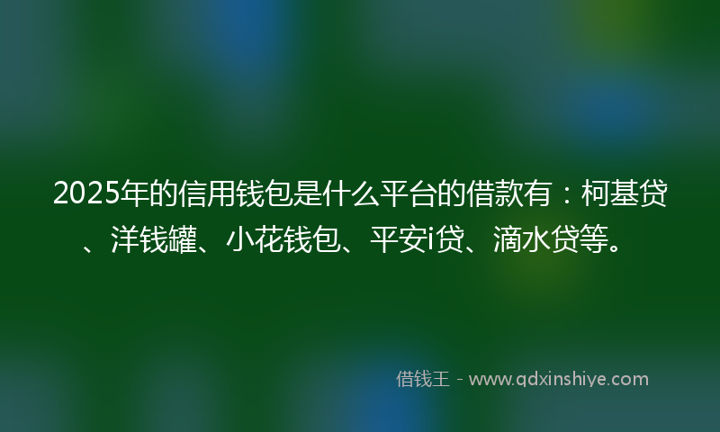 2025年的信用钱包是什么平台的借款有：柯基贷、洋钱罐、小花钱包、平安i贷、滴水贷等。