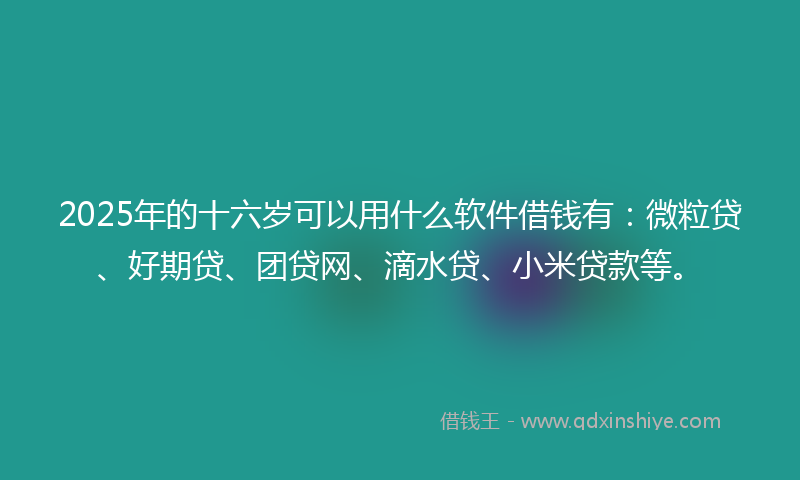 2025年的十六岁可以用什么软件借钱有：微粒贷、好期贷、团贷网、滴水贷、小米贷款等。