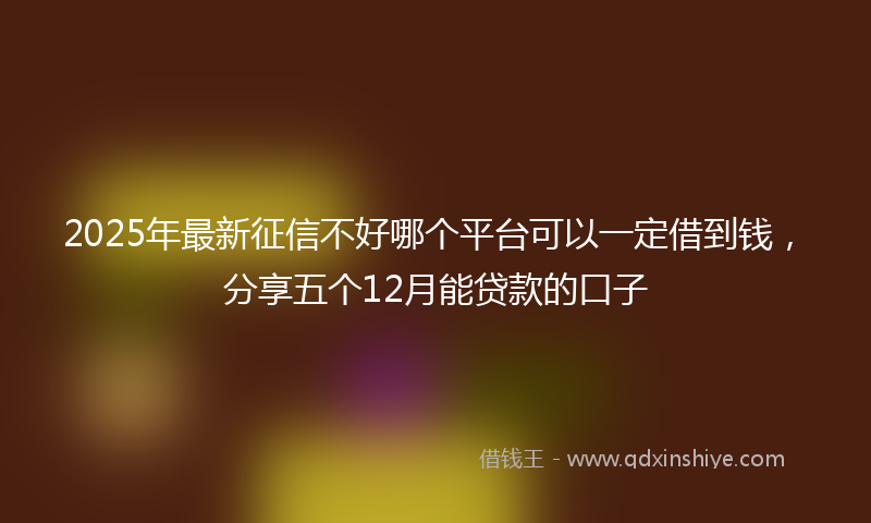 2025年最新征信不好哪个平台可以一定借到钱，分享五个12月能贷款的口子