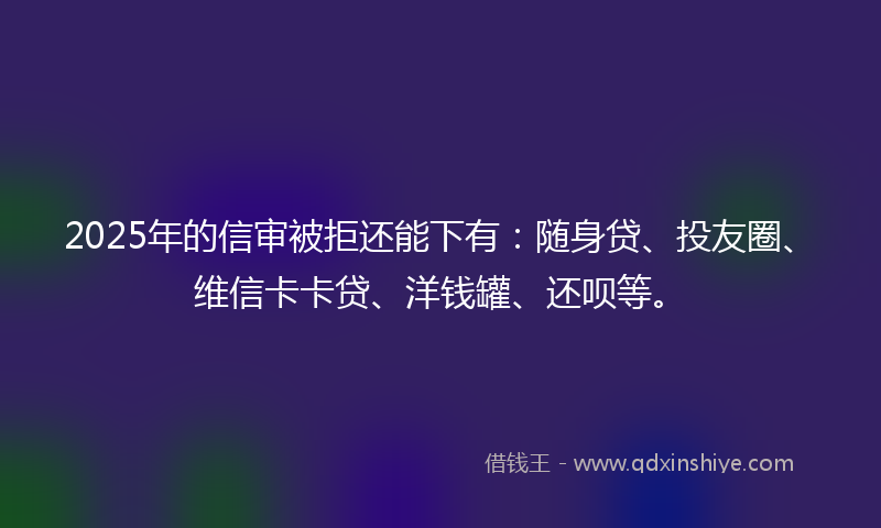 2025年的信审被拒还能下有：随身贷、投友圈、维信卡卡贷、洋钱罐、还呗等。