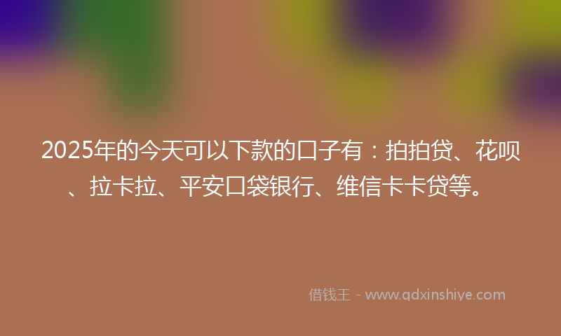 2025年的今天可以下款的口子有：拍拍贷、花呗、拉卡拉、平安口袋银行、维信卡卡贷等。