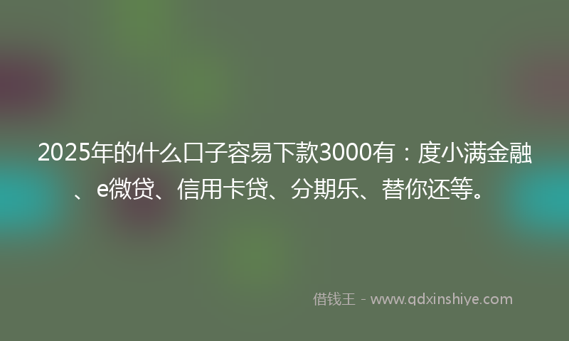 2025年的什么口子容易下款3000有：度小满金融、e微贷、信用卡贷、分期乐、替你还等。