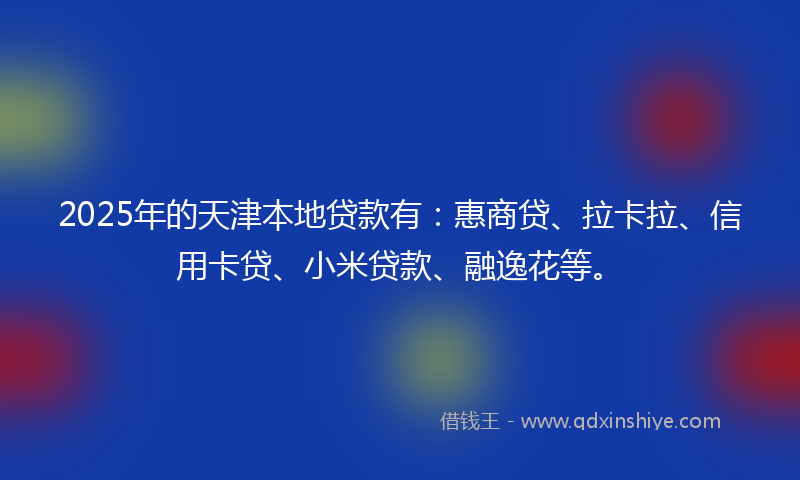 2025年的天津本地贷款有：惠商贷、拉卡拉、信用卡贷、小米贷款、融逸花等。