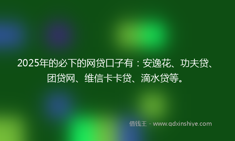 2025年的必下的网贷口子有：安逸花、功夫贷、团贷网、维信卡卡贷、滴水贷等。