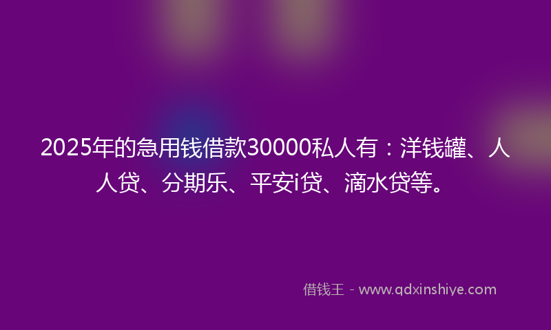 2025年的急用钱借款30000私人有：洋钱罐、人人贷、分期乐、平安i贷、滴水贷等。