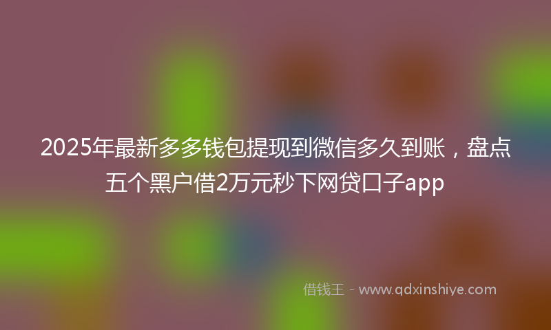 2025年最新多多钱包提现到微信多久到账，盘点五个黑户借2万元秒下网贷口子app