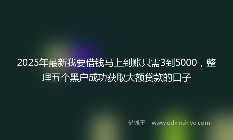2025年最新我要借钱马上到账只需3到5000，整理五个黑户成功获取大额贷款的口子