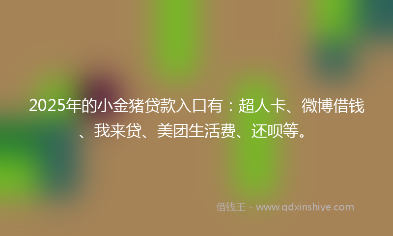 2025年的小金猪贷款入口有：超人卡、微博借钱、我来贷、美团生活费、还呗等。