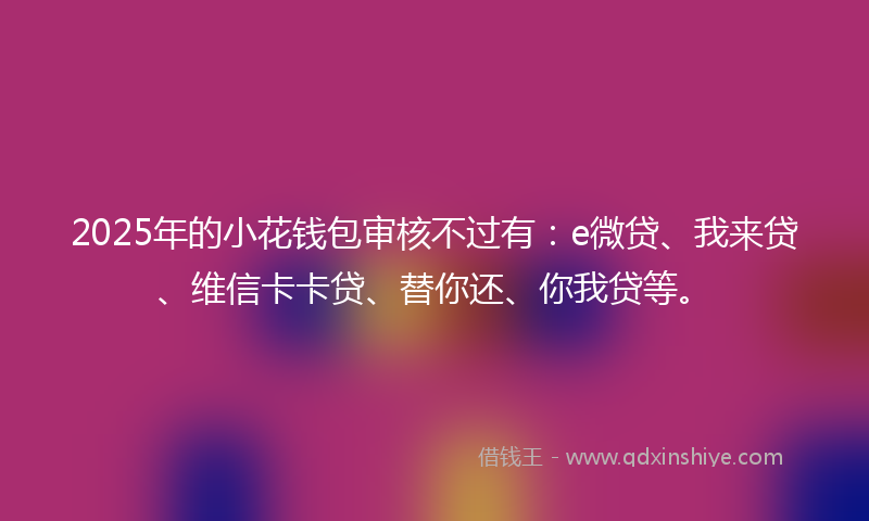 2025年的小花钱包审核不过有：e微贷、我来贷、维信卡卡贷、替你还、你我贷等。