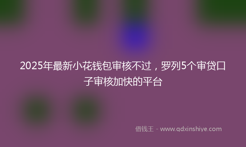 2025年最新小花钱包审核不过，罗列5个审贷口子审核加快的平台