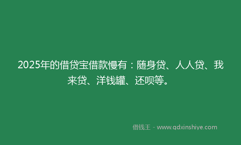 2025年的借贷宝借款慢有：随身贷、人人贷、我来贷、洋钱罐、还呗等。