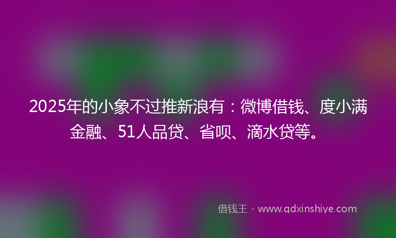2025年的小象不过推新浪有：微博借钱、度小满金融、51人品贷、省呗、滴水贷等。