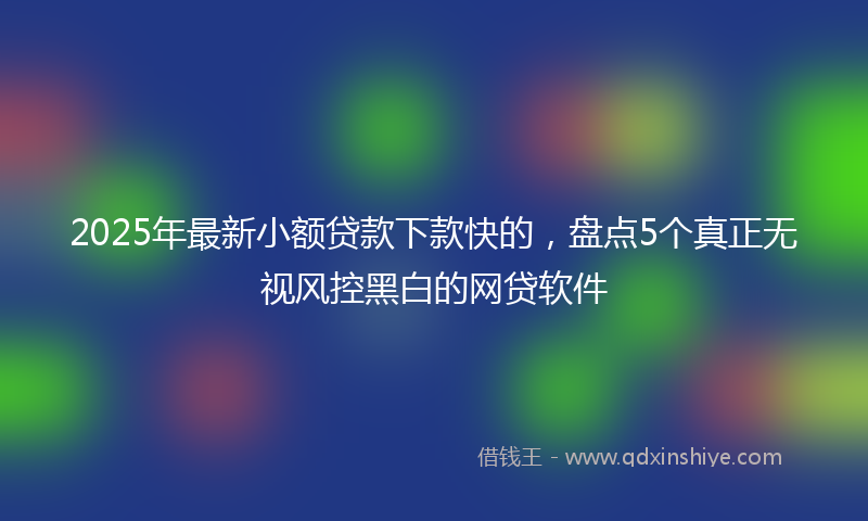 2025年最新小额贷款下款快的，盘点5个真正无视风控黑白的网贷软件