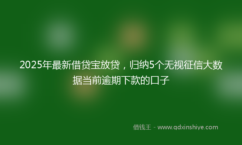 2025年最新借贷宝放贷，归纳5个无视征信大数据当前逾期下款的口子