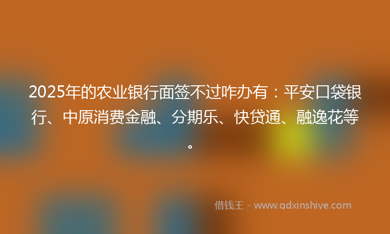 2025年的农业银行面签不过咋办有：平安口袋银行、中原消费金融、分期乐、快贷通、融逸花等。
