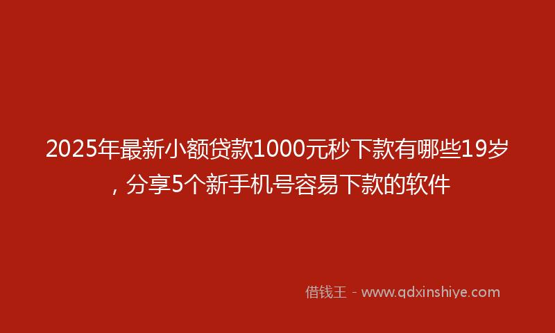 2025年最新小额贷款1000元秒下款有哪些19岁，分享5个新手机号容易下款的软件