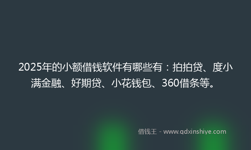 2025年的小额借钱软件有哪些有：拍拍贷、度小满金融、好期贷、小花钱包、360借条等。