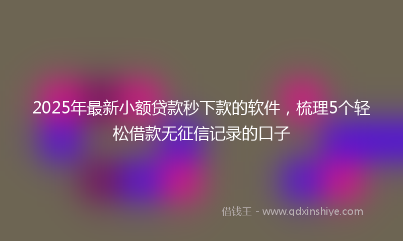 2025年最新小额贷款秒下款的软件，梳理5个轻松借款无征信记录的口子