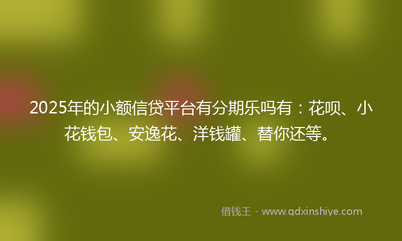 2025年的小额信贷平台有分期乐吗有：花呗、小花钱包、安逸花、洋钱罐、替你还等。