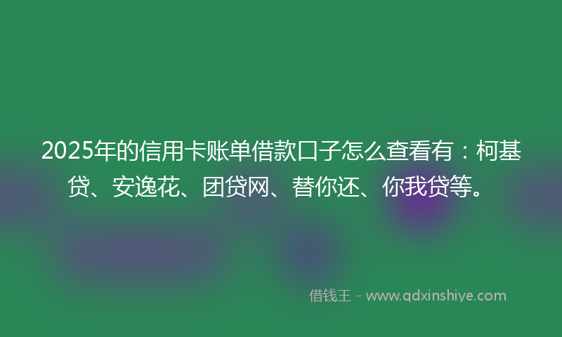 2025年的信用卡账单借款口子怎么查看有：柯基贷、安逸花、团贷网、替你还、你我贷等。