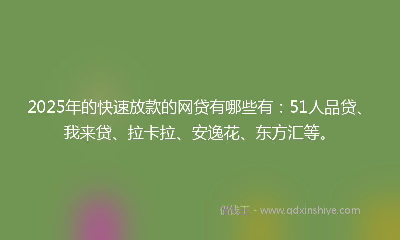 2025年的快速放款的网贷有哪些有：51人品贷、我来贷、拉卡拉、安逸花、东方汇等。