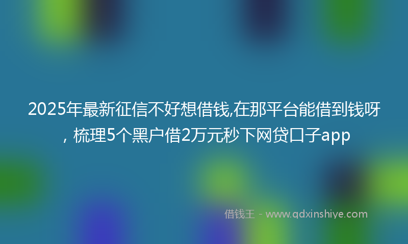 2025年最新征信不好想借钱,在那平台能借到钱呀，梳理5个黑户借2万元秒下网贷口子app
