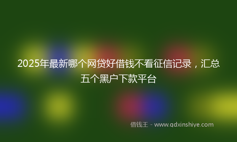 2025年最新哪个网贷好借钱不看征信记录，汇总五个黑户下款平台