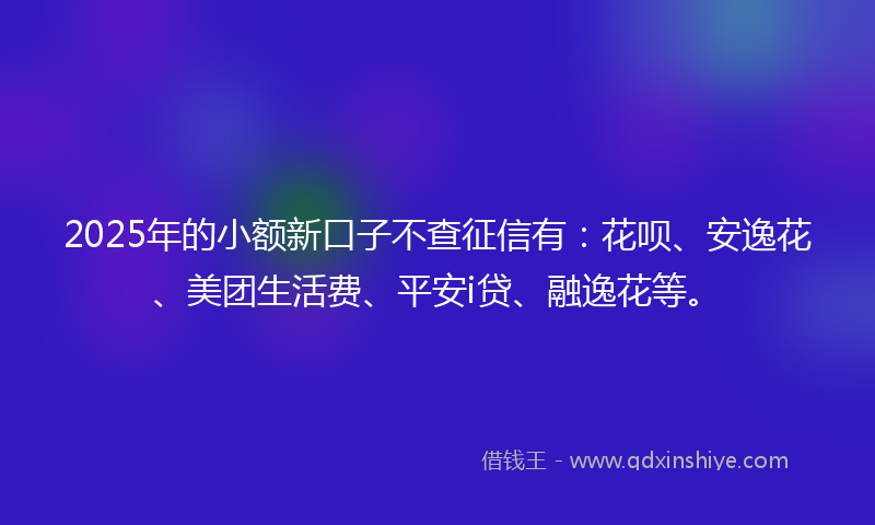 2025年的小额新口子不查征信有：花呗、安逸花、美团生活费、平安i贷、融逸花等。