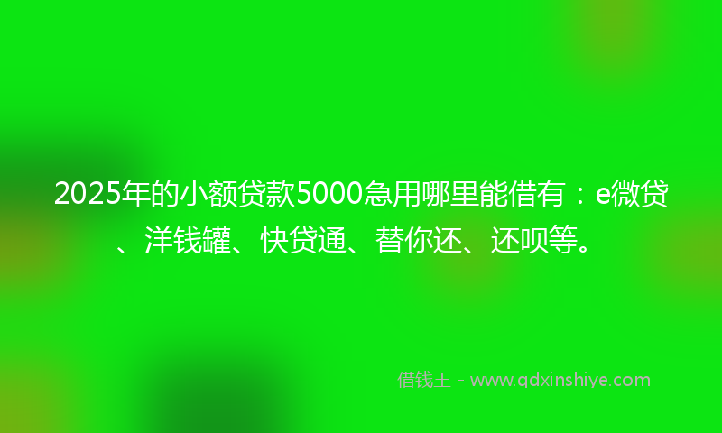 2025年的小额贷款5000急用哪里能借有：e微贷、洋钱罐、快贷通、替你还、还呗等。