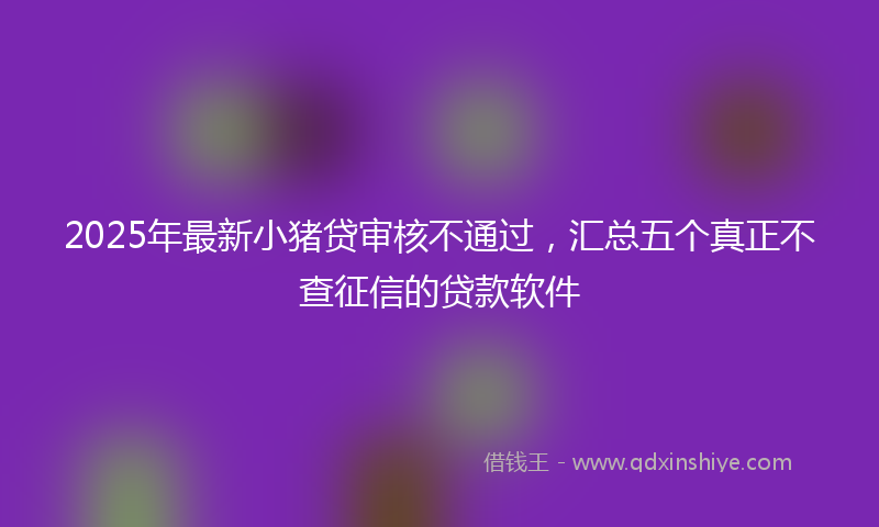 2025年最新小猪贷审核不通过，汇总五个真正不查征信的贷款软件