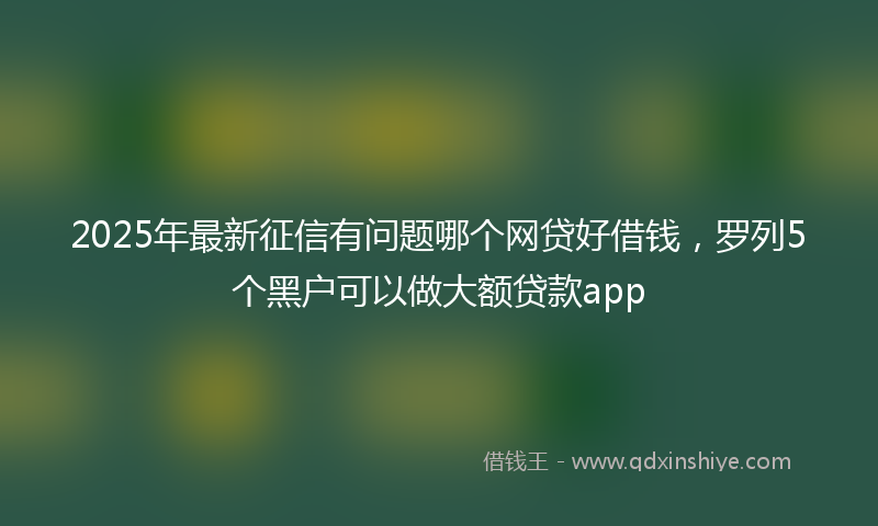 2025年最新征信有问题哪个网贷好借钱，罗列5个黑户可以做大额贷款app