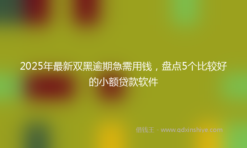 2025年最新双黑逾期急需用钱，盘点5个比较好的小额贷款软件
